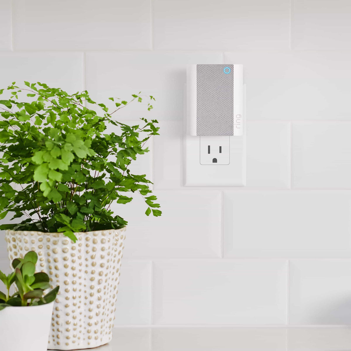Ring Video Doorbell Wired + Chime